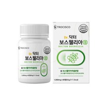 보스웰리아 뉴질랜드초록홍합 쇠무릅추출액 우슬 초록입홍합 치커리 60정 분말 가루 보스웰릭산 인도산 초록잎홍합 뉴질랜드산 AKBA KBA 히알루론산 비타민C 장년 중년