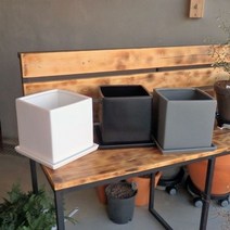 GO2shop GO2shop_ 오각화분 사각화분 예쁜화분 심플한화분 선물용화분 분재화분, ★선택* 모던 도기 사각 화분 C0110 18x18x1, ★선택* 그레이