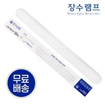 우리조명 장수램프 LED 등기구 일자등 30W, 주광색, 1개