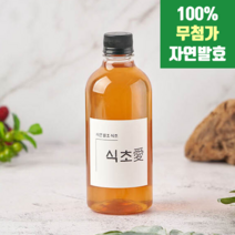 100% 석류 오미자 발효천연식초 2종 500ml 무첨가 수제식초 오가닉비니거 다이어트 디톡스 먹는법 효능 (석류/오미자 핸드메이드식초), 오미자 자연발효식초