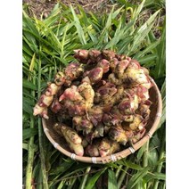 [마이농부] [친환경 생강]전북 진안에서 청년농부가 직접 재배하여 만든 무농약 생강가루, 100g