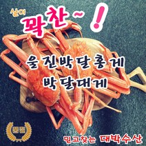 제철 울진 영덕대게 후포 연지 붉은 박달 홍게 대게 직거래 당일 택배 - 자숙 (생물인 경우 주소에 표기), 4-1. 박달홍게(특대-551g~650g) 3미/세트