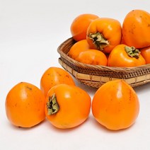 영암 대봉감 3kg 소과 15-20과, 없음