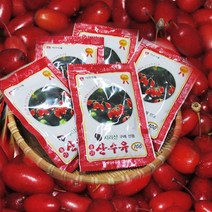 초록사랑 구례 산수유즙 산수유액기스, 60포, 100ml