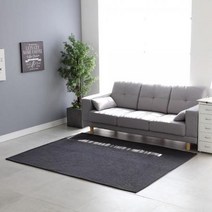 셔닐 솔리드 예쁜 원룸 겨울 러그 200x250cm, 솔리드 러그 그레이_200x250cm