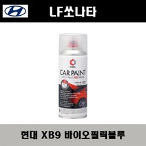 현대 LF쏘나타 XB9 바이오필릭블루 주문스프레이 자동차 도색 차량용 카페인트, XB9 바이오필릭블루 스프레이(제일)