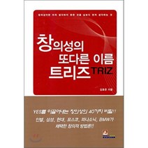 창의성의 또다른 이름 트리즈 TRIZ, 김효준 저, 인피니티북스