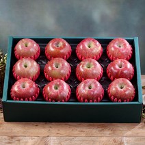 [햇살아름]당도선별 사과 선물세트1호 4.7kg이상 (사과14-16과, 단품