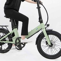 퀄리 Q시티 퍼포먼스 48V 500W 15Ah 전동 전기자전거, 민트