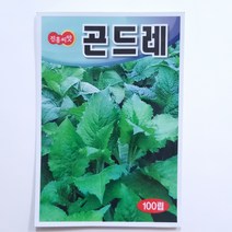 곤드레 씨앗 100립 고려엉겅퀴 부드러운 맛으로 비타민 단백질 칼슘 함량이 높은 채소
