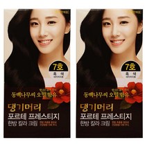 댕기머리 포르테 한방칼라크림 동백유 함유 한방 염색약 2개, 흑색, 2개+마술패치2매