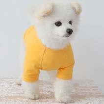 럭키페터 무지 강아지 옷 소형견 대형견 티셔츠, 옐로우