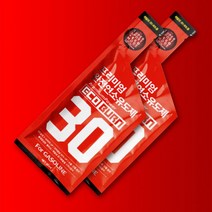 에코번 G30 2팩 휘발유 완전연소 유도제 DPF 연비향상, 2개