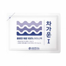 차가운I 아이스팩 완제품 120*170, 단품