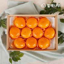 [열매나무]천혜향 3kg[10~13과] 1박스, 없음