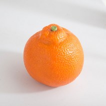 한라봉 모형