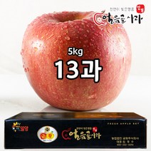 스노우애플 밀양얼음골사과 5kg / 금황사과 부사, 1박스, 5kg 13과
