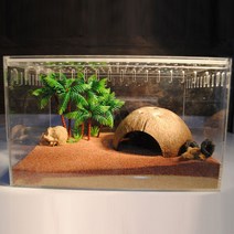 코코넛 은신처 구피 새우 가재 물고기 키우기 은신처_20221552EA