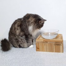 강아지식탁 물그릇받침대 고양이 원목식탁
