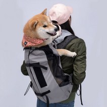 강아지 포대기 대형견 배낭형 이동가방 백팩 애견 앞가방, 기본형, 레드