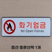 투명 케이스형 CCTV 보안카메라 녹화중 작동중 화장실 소화기 출입금지 금연 흡연 걸이형 부착형 당기세요 미세요 종류선택 1개, 소 화기엄금 가로형 3개입