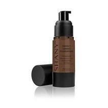 SHANY Perfect Canvas 리퀴드 파운데이션 - 파라벤 프리/탈크 프리/오일 프리 - 30ml - DC2 SHANY 스토어 방문하기, 다크 쿨 2
