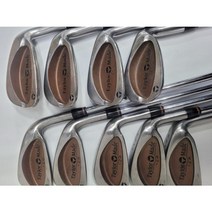 테일러메이드 구형 버너 스틸아이언세트 #3-sw 9자루