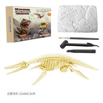국경 간 조립 공룡 화석 고고학 발굴 도매 장난감 diy 고고학 블라인드 박스 어린이 손 노크 보석, [컬러 박스 포장] Shanglong (3 의 도구 세