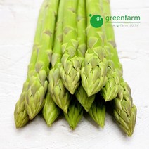 아스파라거스 500g (원산지 : 멕시코산)