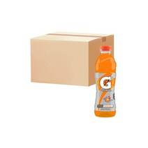게토레이 이온음료 오렌지 600ml x 12pet /스포츠음료 /음료수
