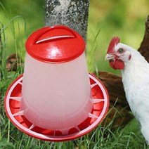 병아리물통 닭 병아리 앵무새 사료통 물통 니플 용품 메추라기 가금류 암탉 food feeder waterer 애완 동물 공급 급수기