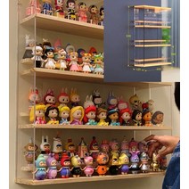 피규어 레고 아크릴 유리 장식장 보관 진열장 케이스, 벽걸이 형 도어 A