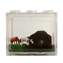 세남자바스켓 제주 국산 마리모 말 DIY 세트, 투명 블럭
