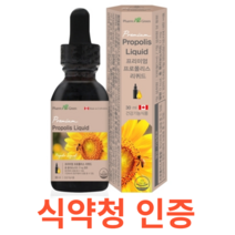 팜그린 프리미엄 프로폴리스 리퀴드 식약처 식약청 인정 인증 해썹 haccp 액상 타입 항산화 구강 항균작용 플라보노이드 17mg 캐나가 직수입 하루 2번 5방울 락토바실러스퍼멘텀#, 30mlX4개