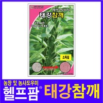 헬프팜 태강참깨 3000립 씨앗 종자 그린하트바이오