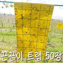 뿌리파리 끈끈이트랩 50 장 양면 날파리 초라피 파리 나방 해충 퇴치, 1개입, 50개