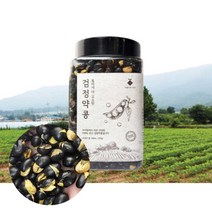 아름다운정성 볶아서 더 고소한 100% 국산 검정약콩 쥐눈이콩 건강간식 콩간식 볶음콩, 2개