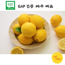 구씨아줌마 산지직송 당일수확 제주레몬 GAP인증 레몬 3kg 5kg 친환경 레몬청 레몬에이드, 제주 레몬 3kg