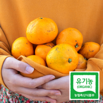 새콤달콤 제주 유기농 못난이 노지감귤 5kg
