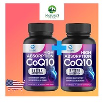 4개월분 코엔자임 Q10 q10 100mg 코큐텐 60소프트젤 2통세트, 2통, 60캡슐