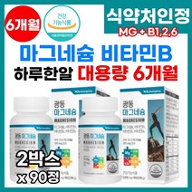 산화 무기 액티브 마그네슘 부족 결핍 마그비 눈밑 눈가 하지 허벅지 종아리 손발 저림 떨림 경련 학생 주부 수험생 쥐날때 먹는 마그네슘 칼마디 마그비 마그네슘 90정 추천, 90g, 2개