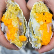 [당일조업] 서해 안면도 산지직송 꽃게 활꽃게 생물 암꽃게 숫꽃게 - 항에서 바로 보내는, 당일조업 암꽃게 3kg(kg당2~5미) 빙장포장