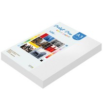 종이문화 프린트프로 칼라복사지 A3 120g No.30 스노우화이트 160매-