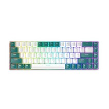 Free Wolf 유선 게임 기계식 키보드 청축 2색 사출성형 키캡 RGB 조명 효과 풀버튼 무충격 믹스컬러, Water Green