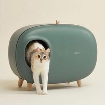 뚱뚱한고양이 반려묘화장실 딥그린 엑죠틱고양이 암컷, 상세페이지 참조
