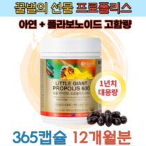 중년 직장인 향산화 면역력 관리 프로폴리스 12개월 남성 여성 아연 식약처 기능성 인정