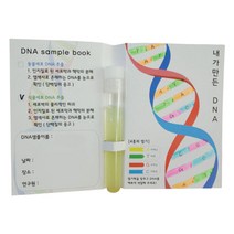 내가만든 DNA추출 식물세포 추출용액 10인 체험 중등과학 실험원리 방과후