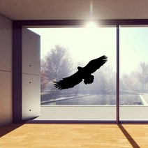 새 충돌 방지 투명 유리 창문 유리창 실외기 부착 설치 시공 독수리 실루엣 필름 테이프 썬팅지 시트 D, B