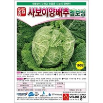 (양배추씨앗종자) 사보이양배추-엠보싱(100립) S2294