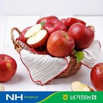 [남거창농협]아삭아삭 달콤 꿀 사과 5kg소과24-26과내외, 없음